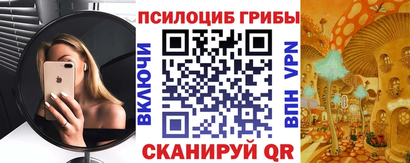 как найти закладки Ревда МЕГА зеркало darknet состав Псилоцибиновые грибы MAGIC MUSHROOMS